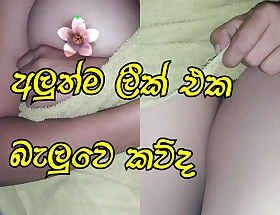 Sri lankan Girl piumi show reproduction fool around not far from her boobs and pussy